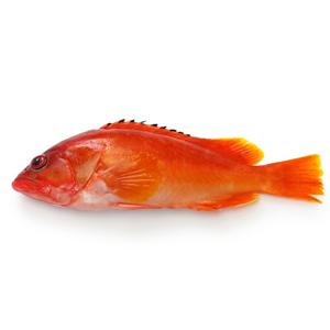 测试