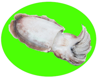 测试