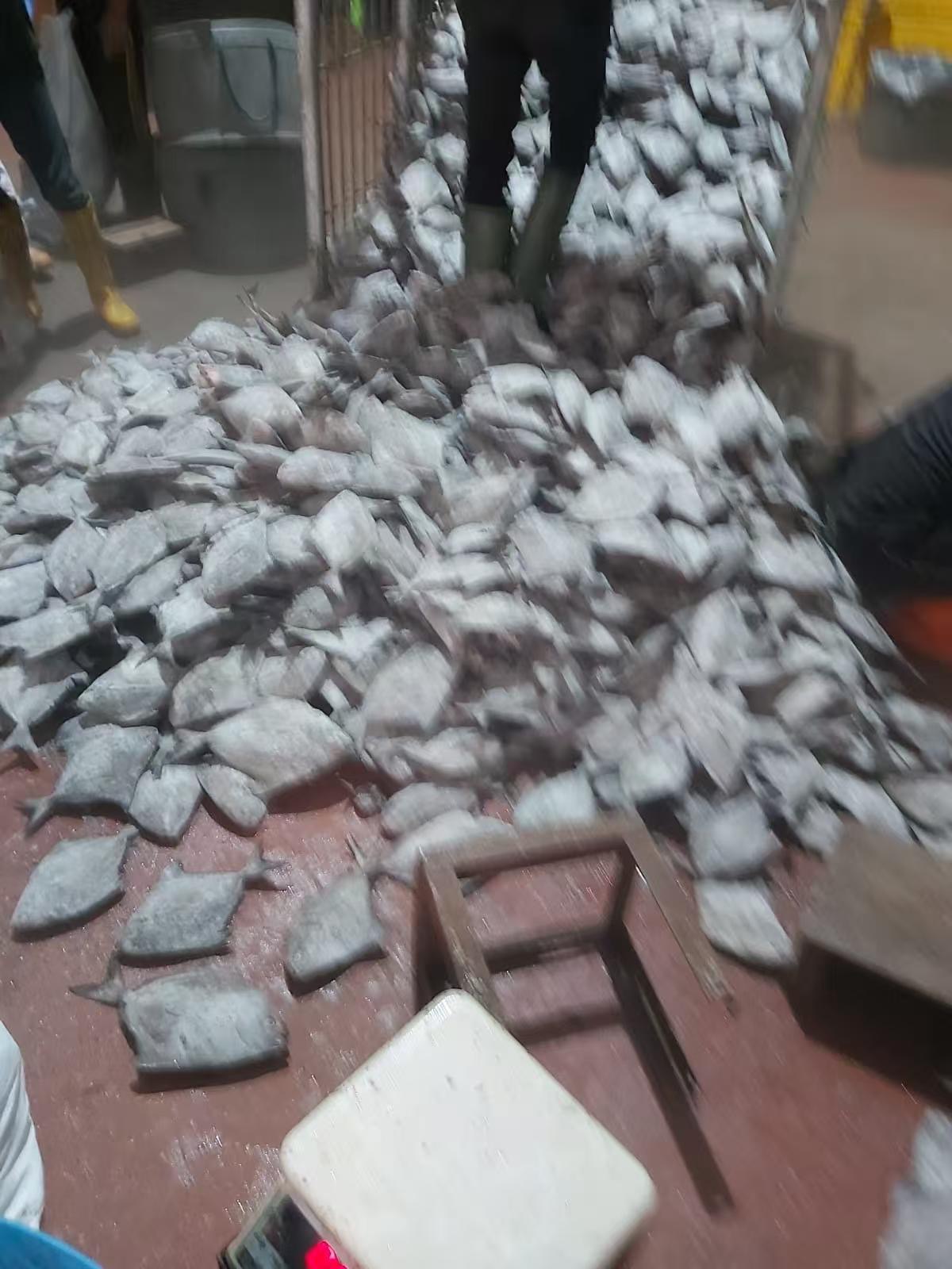 几百人都在看的快讯